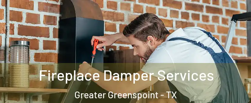 Fireplace Damper Services Greater Greenspoint - TX