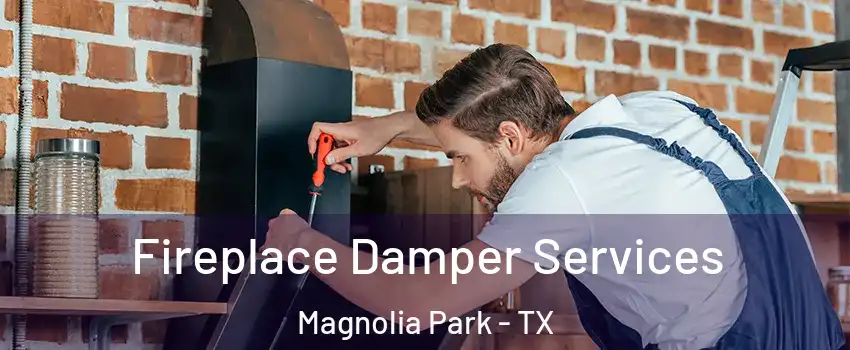 Fireplace Damper Services Magnolia Park - TX