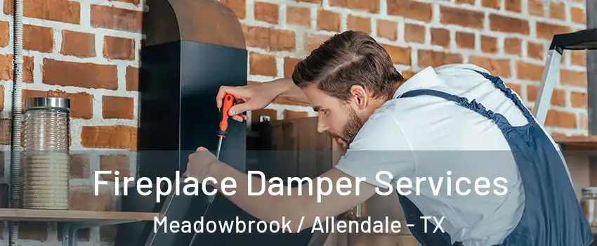 Fireplace Damper Services Meadowbrook / Allendale - TX