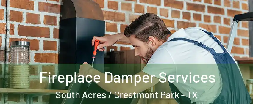 Fireplace Damper Services South Acres / Crestmont Park - TX
