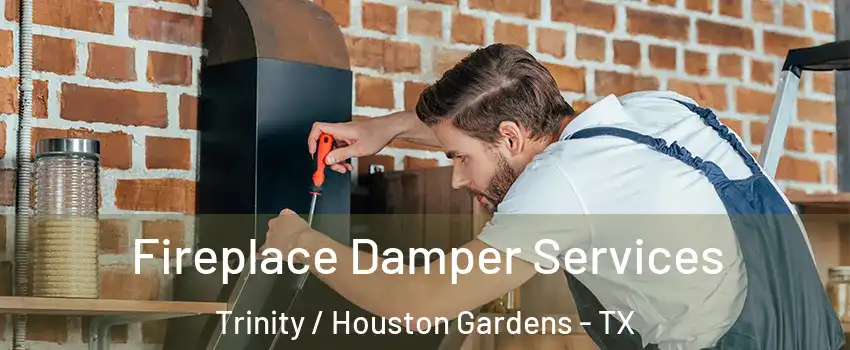 Fireplace Damper Services Trinity / Houston Gardens - TX