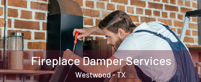 Fireplace Damper Services Westwood - TX