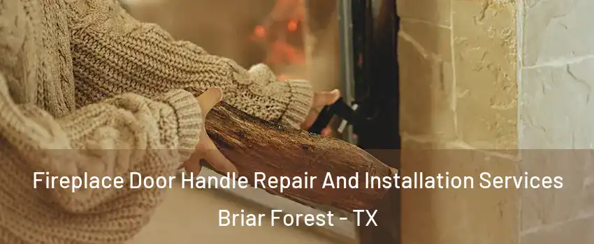 Fireplace Door Handle Repair And Installation Services Briar Forest - TX