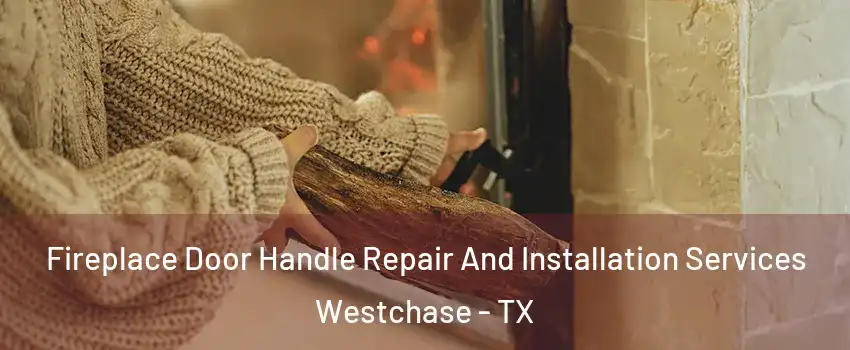 Fireplace Door Handle Repair And Installation Services Westchase - TX