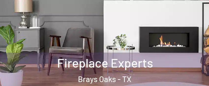 Fireplace Experts Brays Oaks - TX