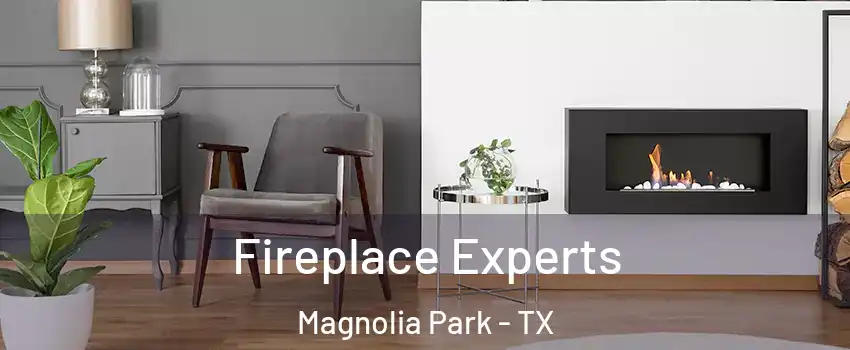 Fireplace Experts Magnolia Park - TX
