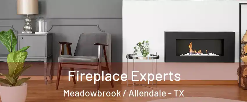 Fireplace Experts Meadowbrook / Allendale - TX