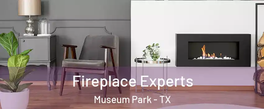 Fireplace Experts Museum Park - TX