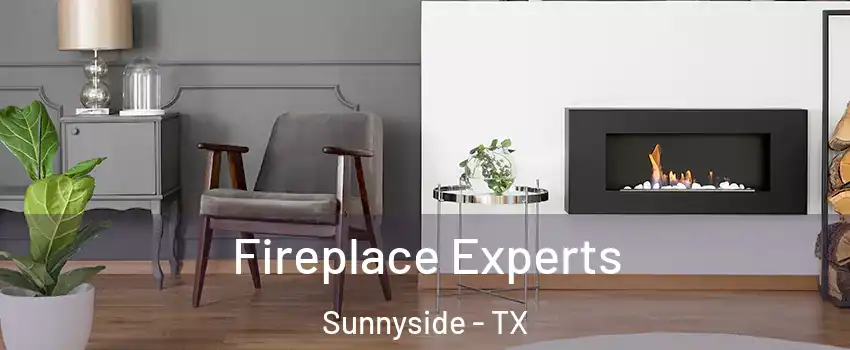 Fireplace Experts Sunnyside - TX