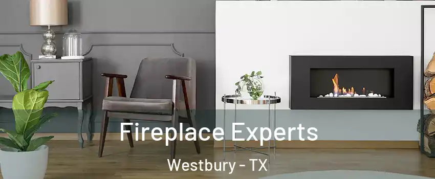 Fireplace Experts Westbury - TX