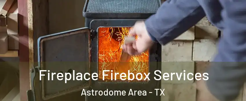 Fireplace Firebox Services Astrodome Area - TX