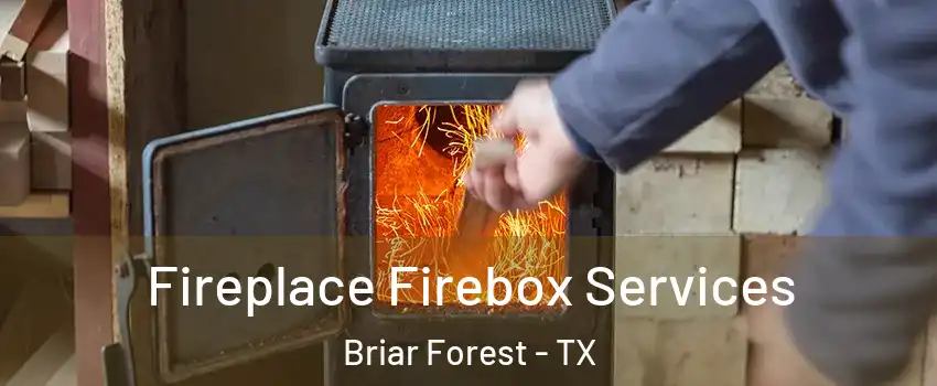 Fireplace Firebox Services Briar Forest - TX