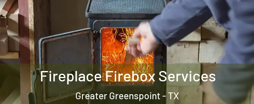 Fireplace Firebox Services Greater Greenspoint - TX