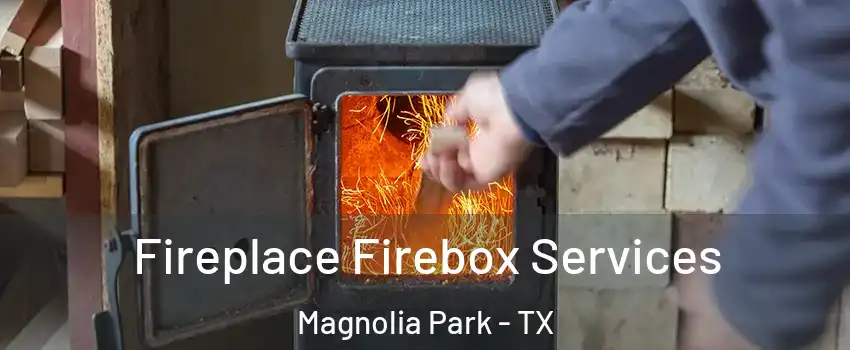 Fireplace Firebox Services Magnolia Park - TX
