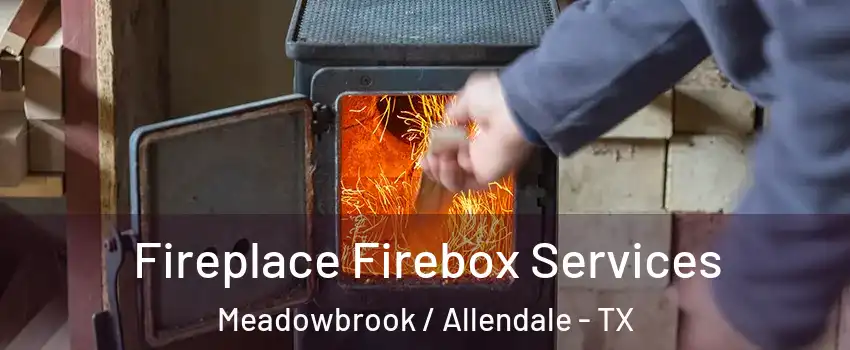 Fireplace Firebox Services Meadowbrook / Allendale - TX