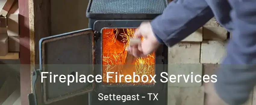 Fireplace Firebox Services Settegast - TX