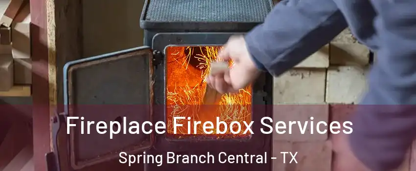 Fireplace Firebox Services Spring Branch Central - TX