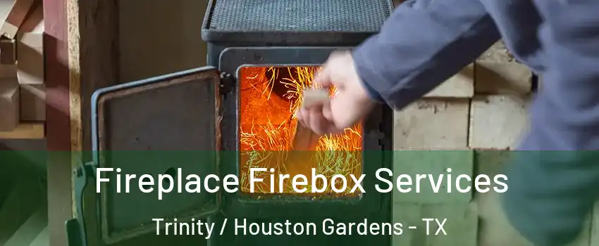 Fireplace Firebox Services Trinity / Houston Gardens - TX