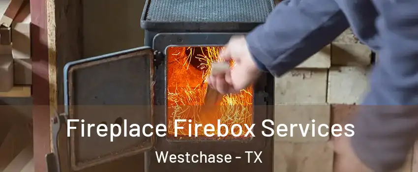 Fireplace Firebox Services Westchase - TX