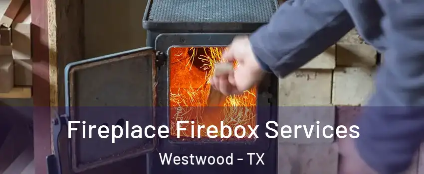 Fireplace Firebox Services Westwood - TX