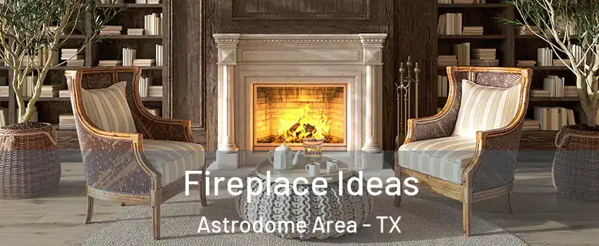 Fireplace Ideas Astrodome Area - TX