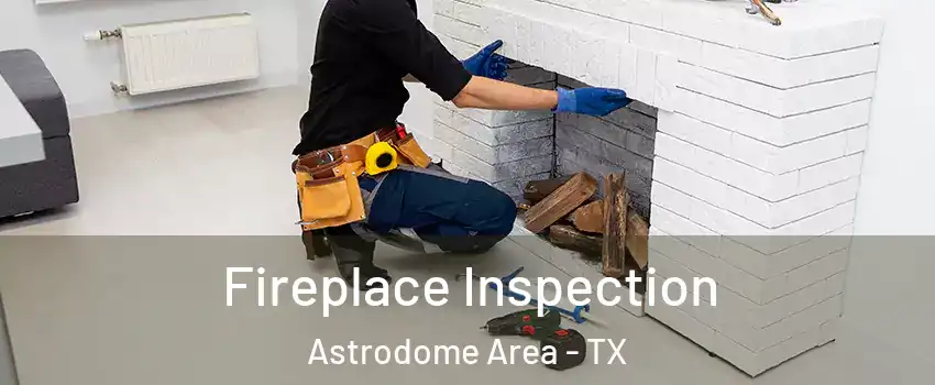 Fireplace Inspection Astrodome Area - TX