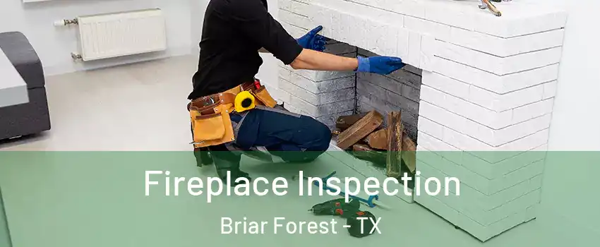 Fireplace Inspection Briar Forest - TX