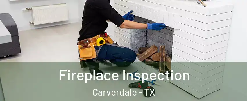 Fireplace Inspection Carverdale - TX