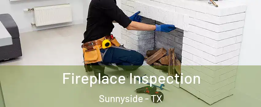 Fireplace Inspection Sunnyside - TX