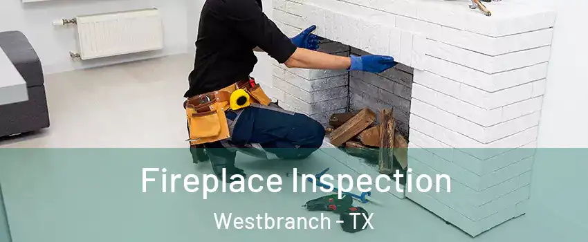 Fireplace Inspection Westbranch - TX