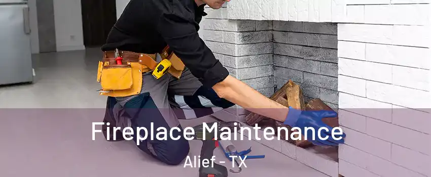 Fireplace Maintenance Alief - TX