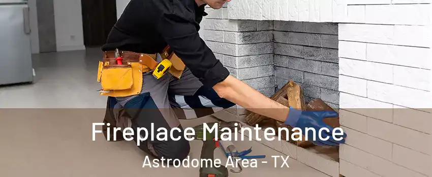 Fireplace Maintenance Astrodome Area - TX