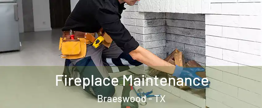Fireplace Maintenance Braeswood - TX