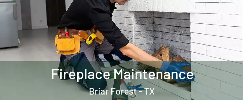 Fireplace Maintenance Briar Forest - TX