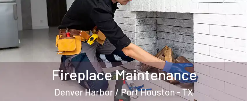 Fireplace Maintenance Denver Harbor / Port Houston - TX