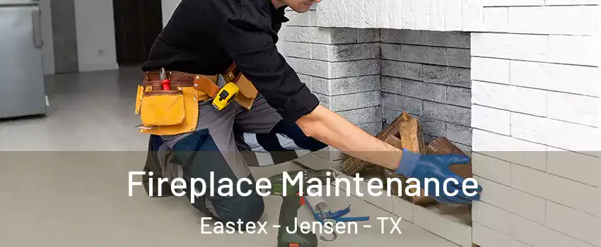 Fireplace Maintenance Eastex - Jensen - TX