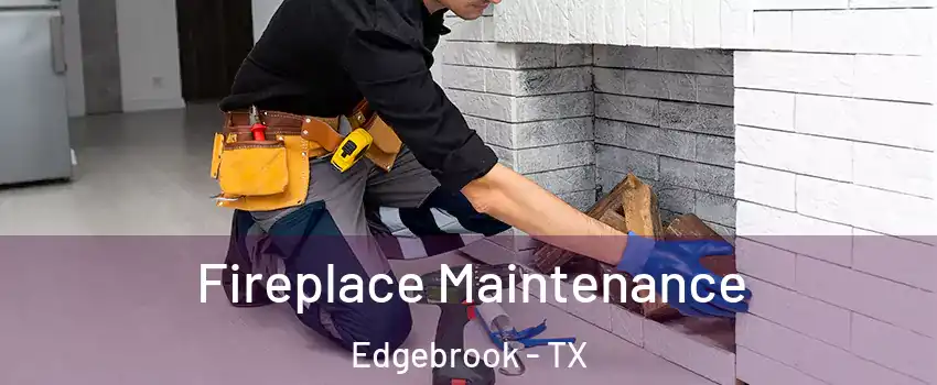 Fireplace Maintenance Edgebrook - TX