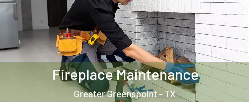 Fireplace Maintenance Greater Greenspoint - TX