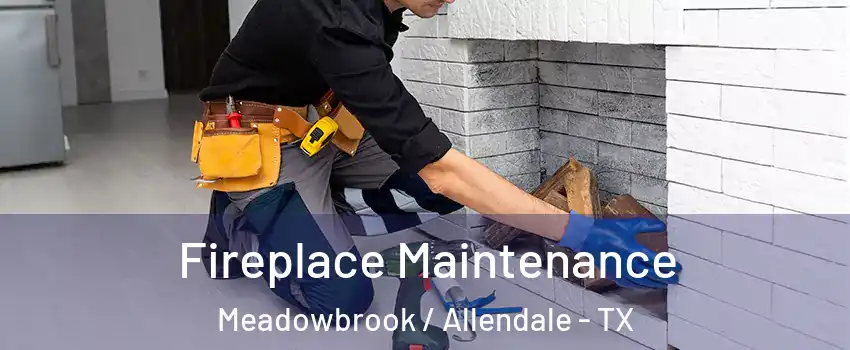 Fireplace Maintenance Meadowbrook / Allendale - TX