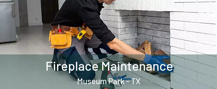Fireplace Maintenance Museum Park - TX