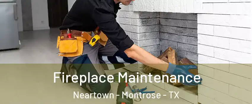 Fireplace Maintenance Neartown - Montrose - TX