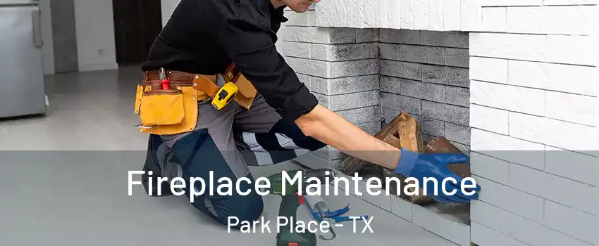 Fireplace Maintenance Park Place - TX