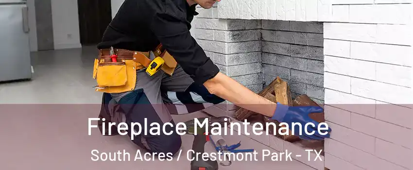Fireplace Maintenance South Acres / Crestmont Park - TX