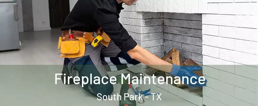 Fireplace Maintenance South Park - TX