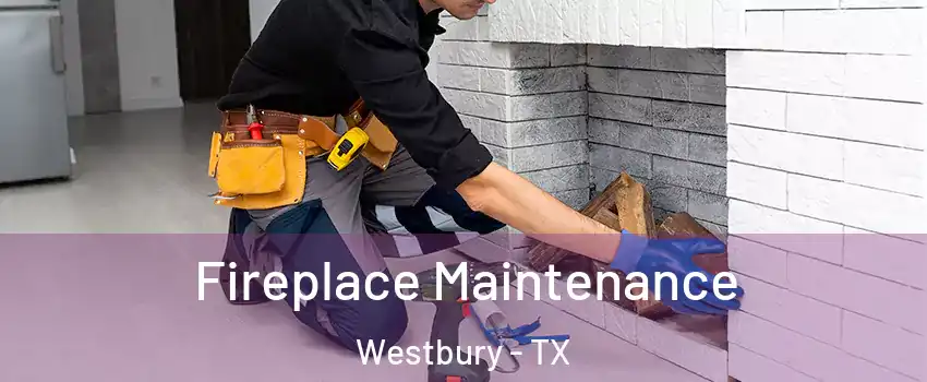 Fireplace Maintenance Westbury - TX