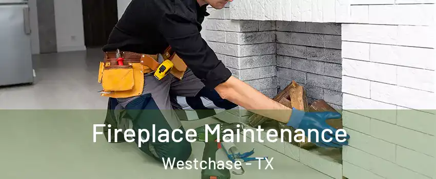 Fireplace Maintenance Westchase - TX