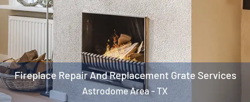 Fireplace Repair And Replacement Grate Services Astrodome Area - TX
