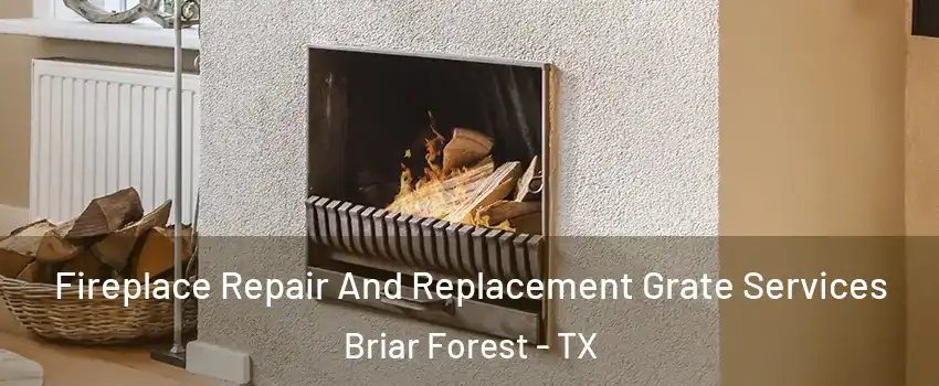 Fireplace Repair And Replacement Grate Services Briar Forest - TX