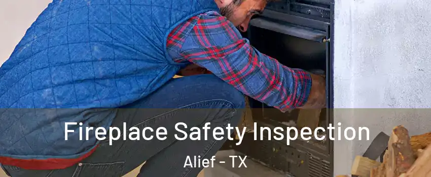 Fireplace Safety Inspection Alief - TX
