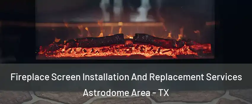 Fireplace Screen Installation And Replacement Services Astrodome Area - TX